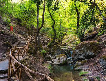 Butterflies in Butterfly Valley, Rhodes